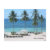 beach, island, tree, cebu, manila, philippines,