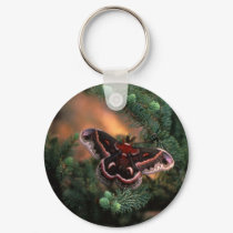 Cecropia Butterfly keychains