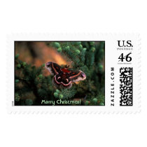 Cecropia Butterfly postage