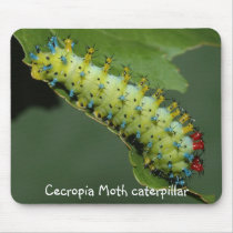 Cecropia Moth caterpillar mousepads
