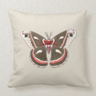 Cecropia Moth Throw Pillow - Beige