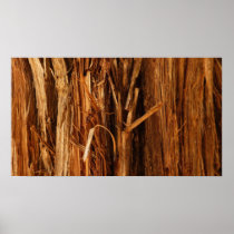 Cedar Bark Abstract Nature Poster Print