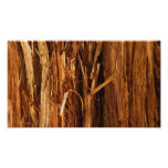 Cedar Bark Abstract Photo Print