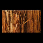 Cedar Bark Abstract Photo Print