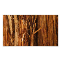 Cedar Bark Abstract Photo Print