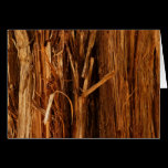 Cedar Bark Nature Card