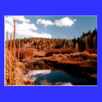 Cedar Breaks National Area, Utah postcards
