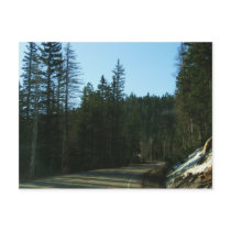 Cedar Breaks, UT postcards by sumiko Cedar Breaks, UT postcards