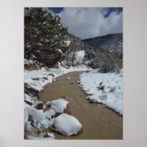 Cedar Canyon Poster