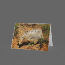 Cedar Driftwood Greeting Card cards