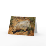 Cedar Driftwood Greeting Card