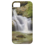Cedar Falls, Hocking Hills Ohio iPhone 5 Cases