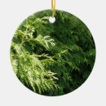 Cedar Hedge Christmas Tree Ornament