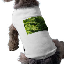 Cedar Hedge pet clothing
