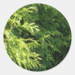 Cedar Hedge Round Sticker