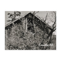 Cedar Shakes Post Card