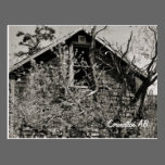 Cedar Shakes postcards