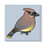 Birdorable Cedar Waxwing Square Magnet