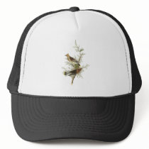 Cedar Waxwing, John Audubon Trucker Hats