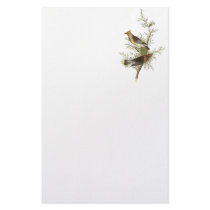 Cedar Waxwing, John Audubon Customized Stationery