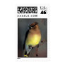 Cedar Waxwing