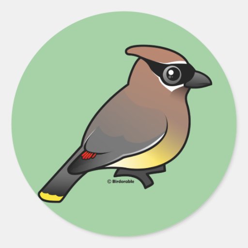 Cedar Waxwing Round Stickers