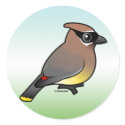 Cedar Waxwing stickers