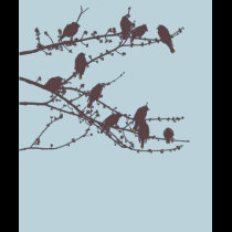 Cedar Waxwings T-Shirt
