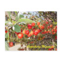 Cedarburg postcards