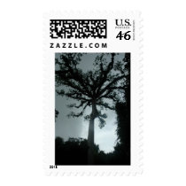 Ceiba Tree postage