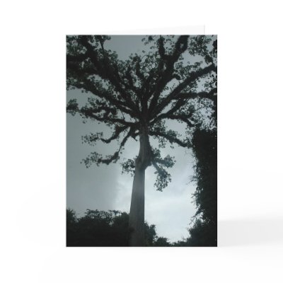 Ceiba Tree w Quote Greeting Cards by Rainbowgate
