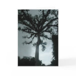 Ceiba Tree w Quote Greeting Cards