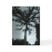 Ceiba Tree w Quote cards
