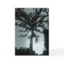 Ceiba Tree w Quote Greeting Cards