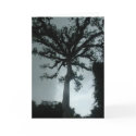 Ceiba Tree w Quote cards