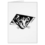 Ceiling Cat cards