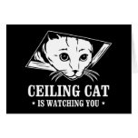 Ceiling Cat is Watching You Greeting Card