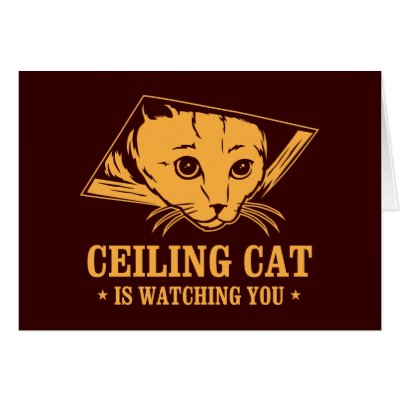 Ceiling Cat is Watching You Greeting Cards