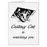 Ceiling Cat is Watching You cards