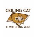 Ceiling Cat is watching you! - Customized t-shirts