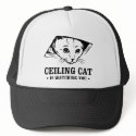 Ceiling Cat is Watching You hats