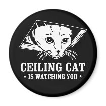 Ceiling Cat is Watching You magnets