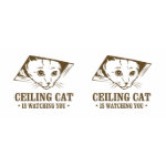 LOL Cat Mugs