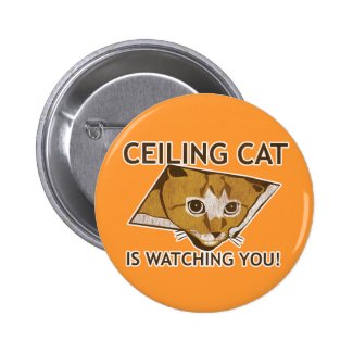 Ceiling Cat is watching you! Pins