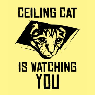 Ceiling Cat is Watching YOU! shirt