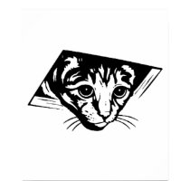 Ceiling Cat posters