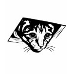 Ceiling Cat t-shirts