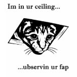 Ceiling Cat ubservin u... t-shirts