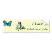 Celastrina argiolus (male) bumper stickers by FlutterByButterfly Celastrina argiolus (male) bumper stickers