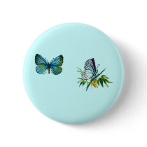 Celastrina argiolus (male) buttons